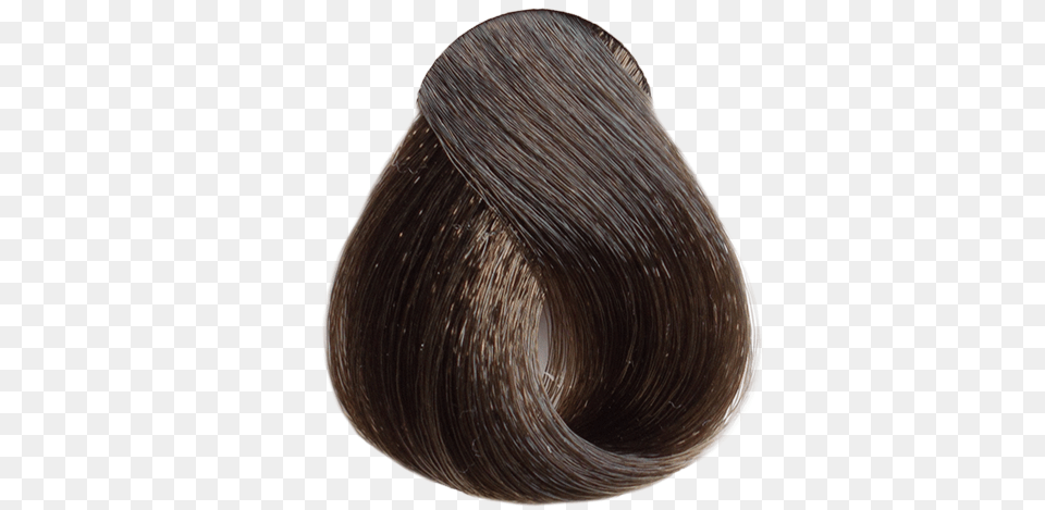 Lace Wig, Animal, Clam, Food, Invertebrate Free Png