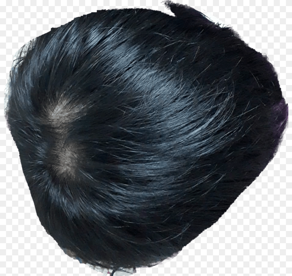 Lace Wig, Black Hair, Hair, Person Free Transparent Png