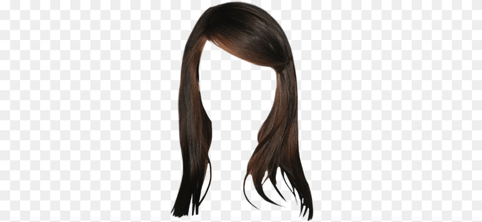 Lace Wig, Hair, Person, Ponytail, Adult Free Png Download