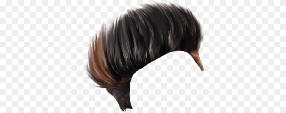 Lace Wig, Adult, Female, Person, Woman Free Png Download