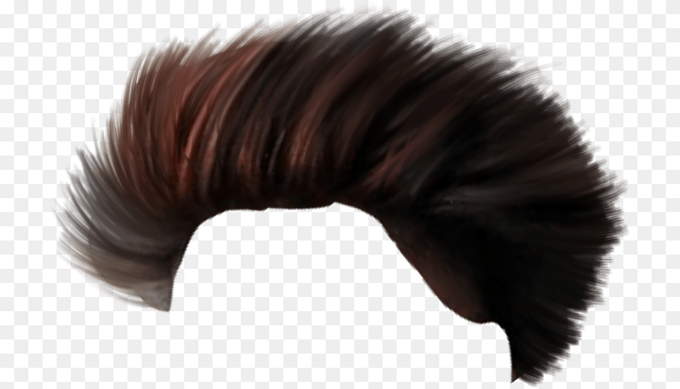 Lace Wig, Hair, Mohawk Hairstyle, Person, Adult Free Png