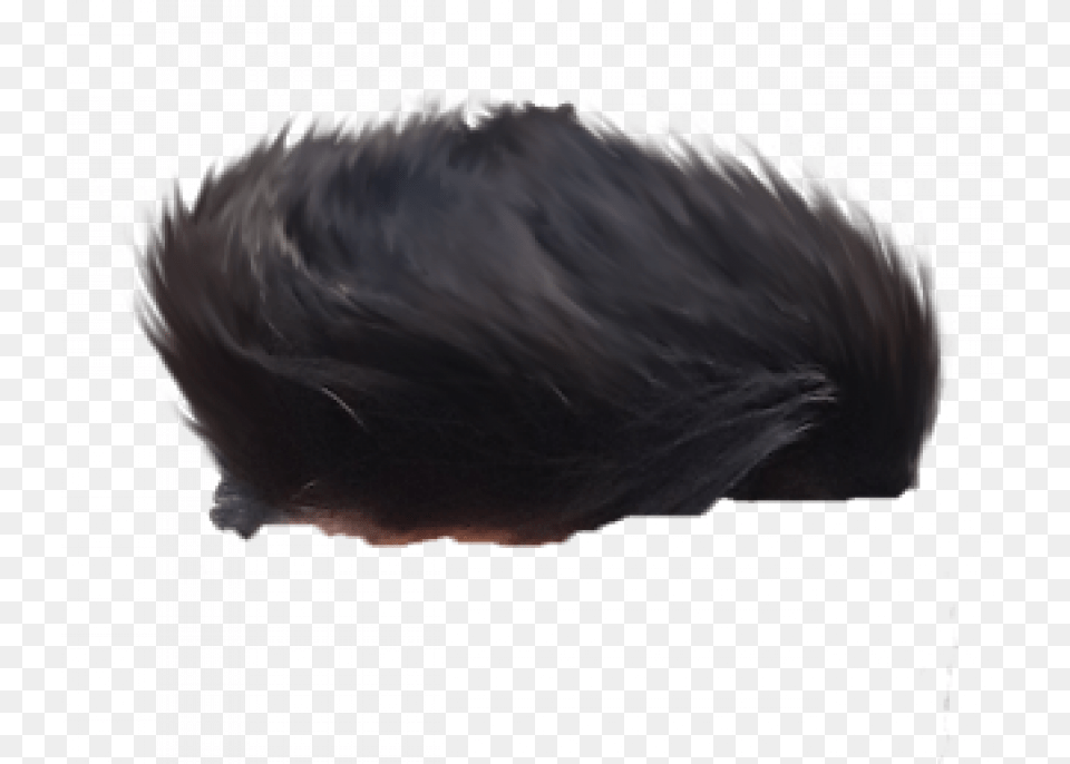 Lace Wig, Hair, Person, Black Hair, Animal Png