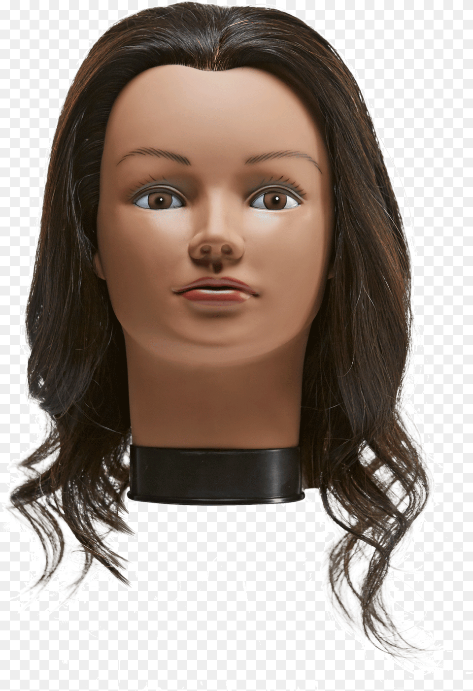 Lace Wig Download Miss Chelsea Mannequin Head, Adult, Female, Person, Woman Free Transparent Png