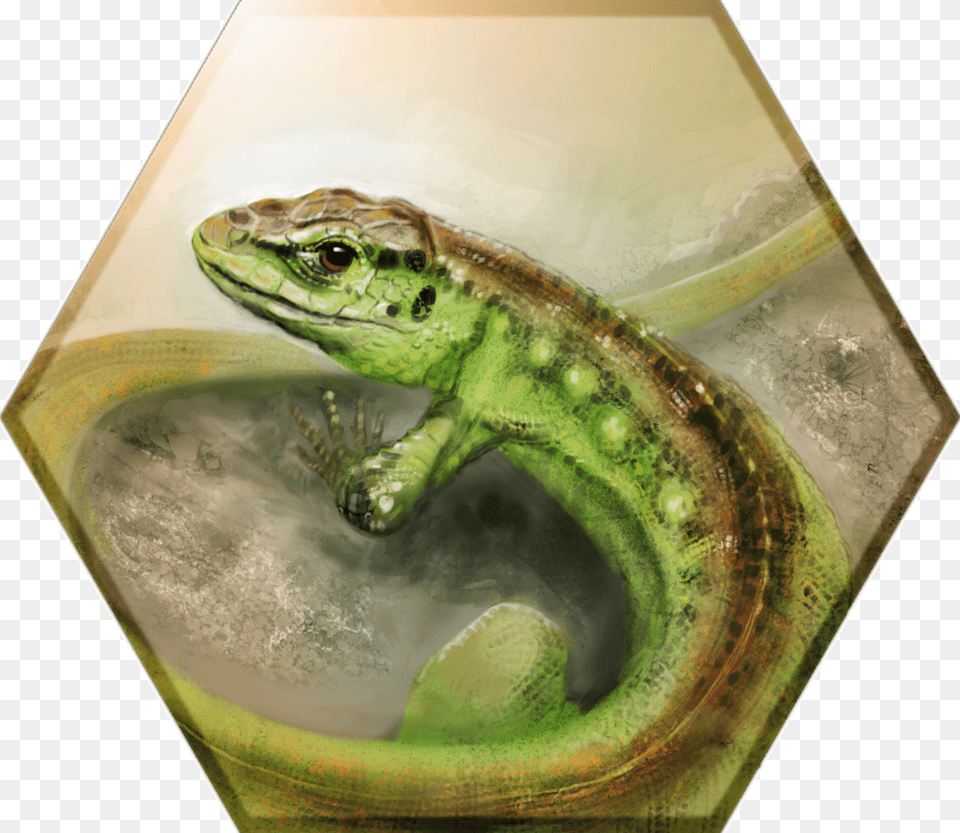Lacerta Agilis Sand Lizard, Animal, Green Lizard, Reptile, Gecko Free Transparent Png