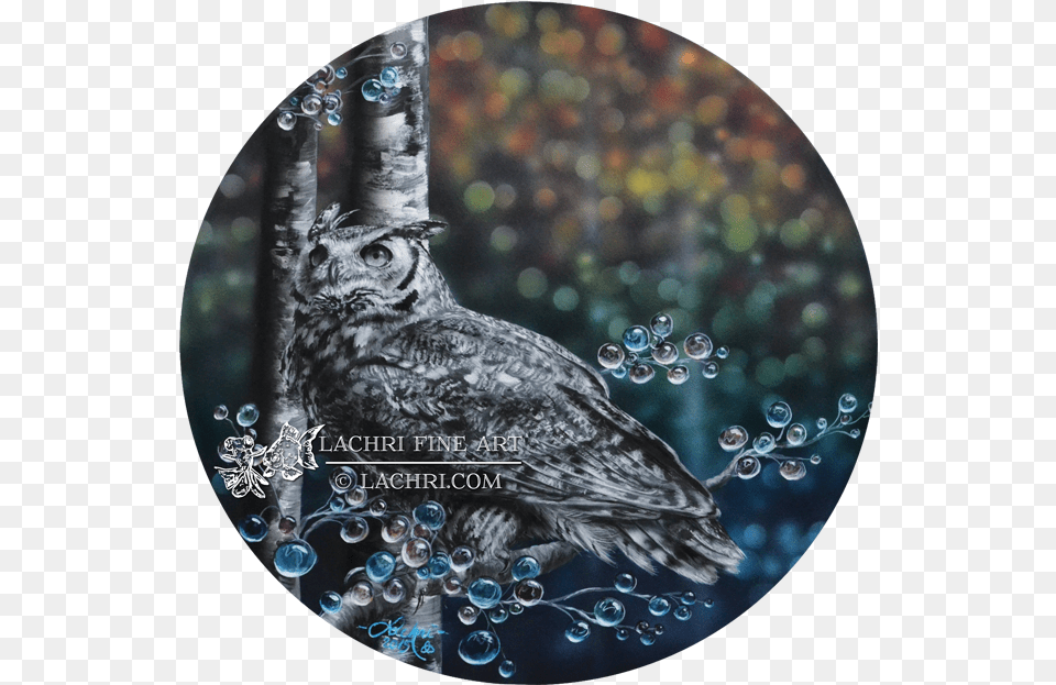 Lachri Fine Art Owl, Animal, Bird Free Transparent Png