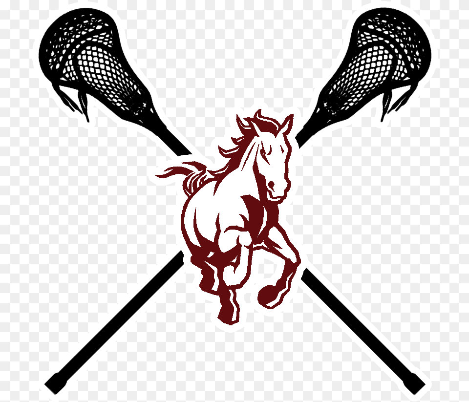 Lacrosse, People, Person, Animal, Horse Free Png Download