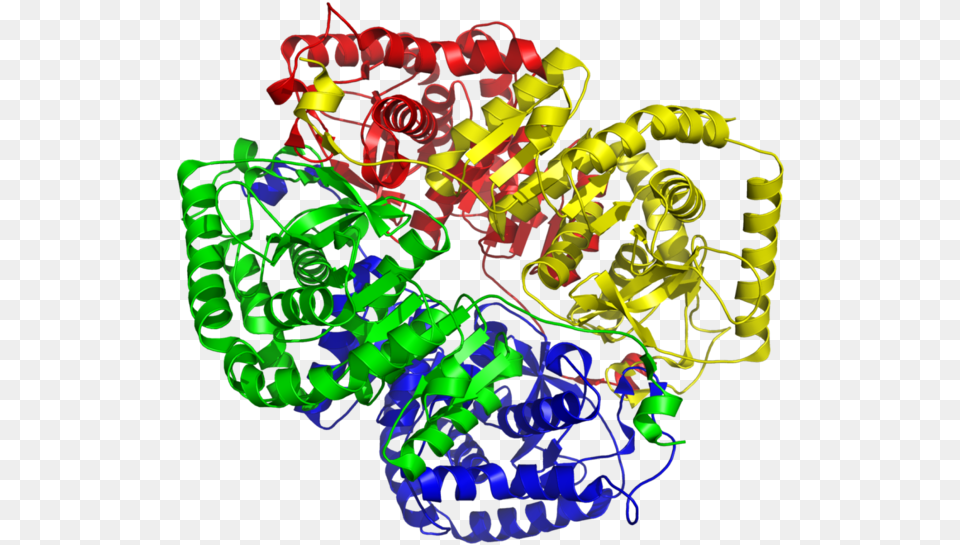 Lactate Dehydrogenase M4 1i10 Ldh Structure, Art, Graphics, Dynamite, Weapon Png