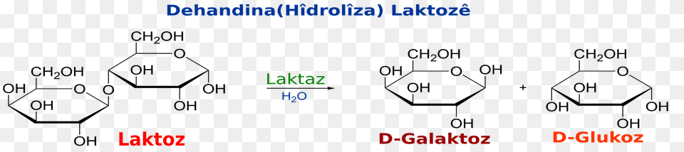 Lactose Hydrolysis Ku Clipart, Symbol Free Png