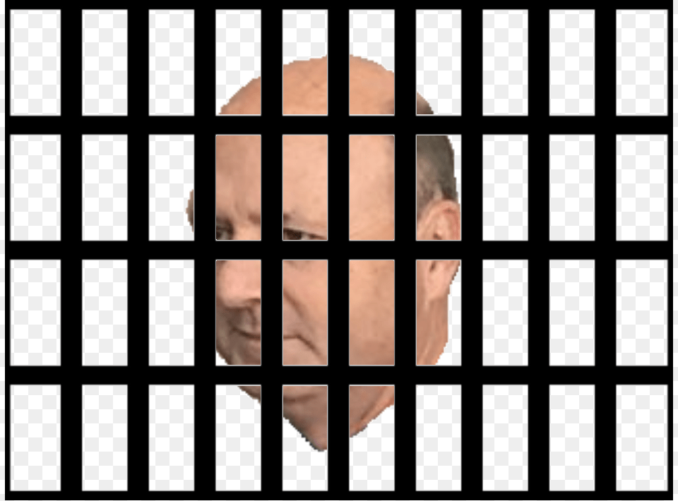 Ladies And Gentlemen Allow Me To Rant In A Unique Jpeg, Prison, Head, Person, Face Free Png Download