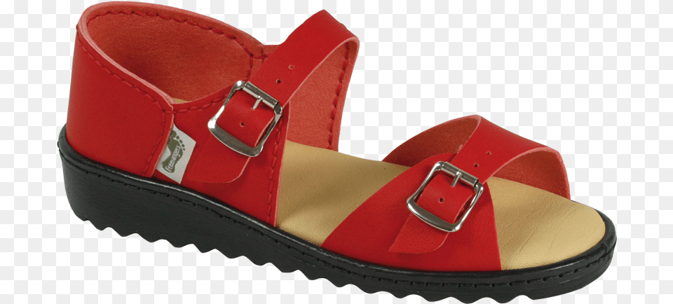 Ladies Sandal, Clothing, Footwear, Shoe, Accessories Png Image