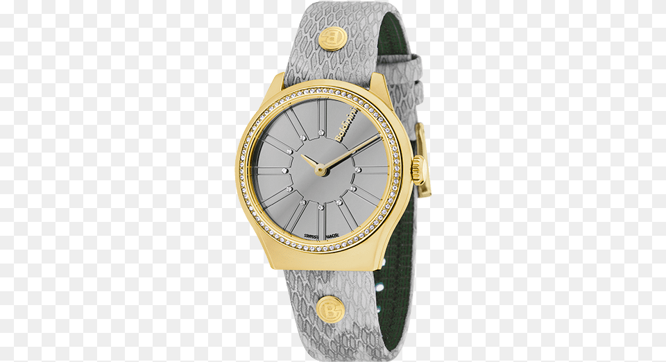 Lady Adria Stone Gold Grey Analog Watch, Arm, Body Part, Person, Wristwatch Png Image