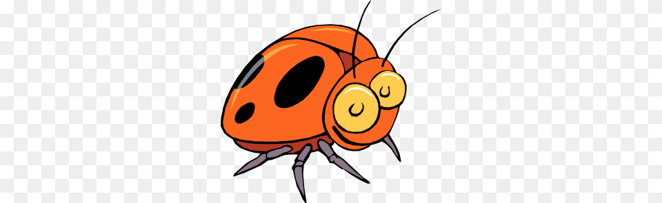 Lady Beetle Clipart, Animal Free Png