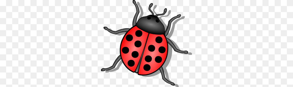 Lady Beetle Clipart, Animal Free Transparent Png