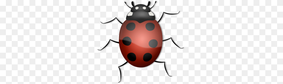 Lady Beetle Clipart Beatle, Ammunition, Grenade, Weapon, Animal Png