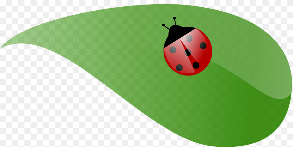 Lady Beetle Clipart Leaf Lady Bug Leaf Clip Art, Plant Free Png