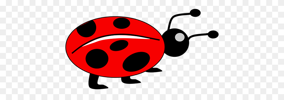 Lady Bug Astronomy, Moon, Nature, Night Free Transparent Png