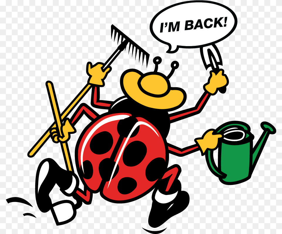 Lady Bug Cartoon Saying I M Back, Dynamite, Weapon, Grass, Plant Free Transparent Png