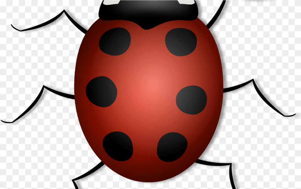 Lady Bug Clipart Clip Art Clipart Fond Insecte, Jar, Pottery, Ball, Football Free Transparent Png