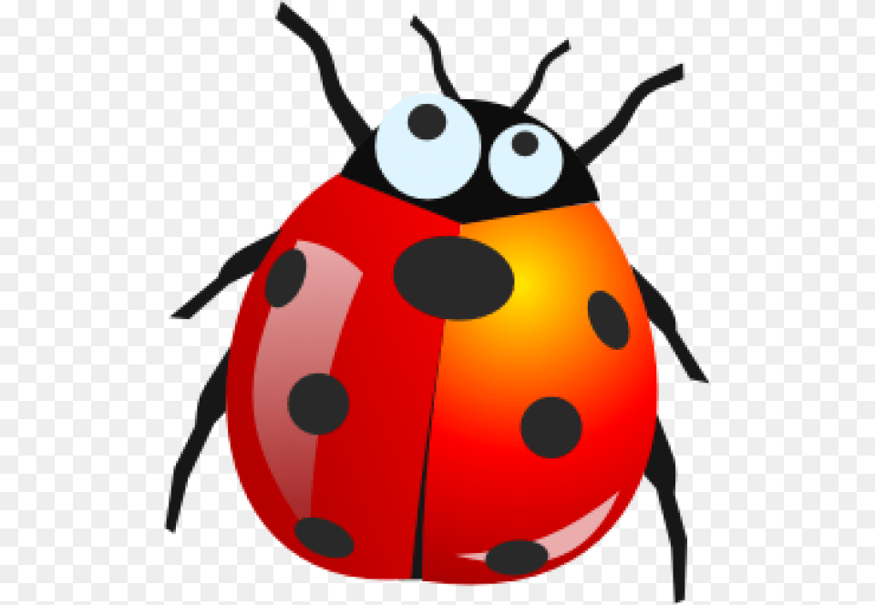 Lady Bug Download Icons Download, Animal Free Transparent Png