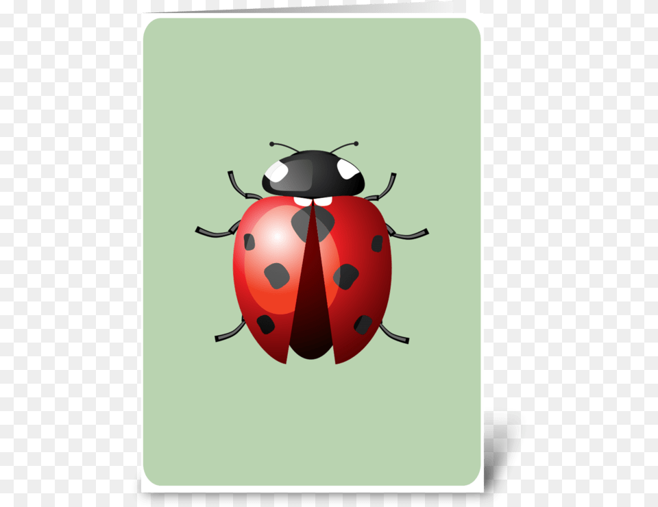 Lady Bug Greeting Card Insects And Bugs, Animal, Insect, Invertebrate Free Transparent Png