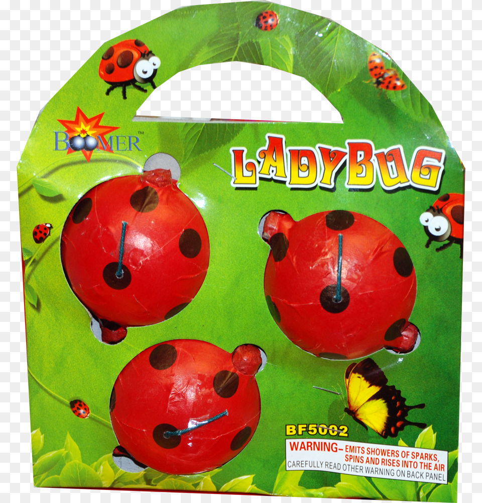 Lady Bug Ladybird Beetle, Animal, Insect, Invertebrate, Tape Free Transparent Png