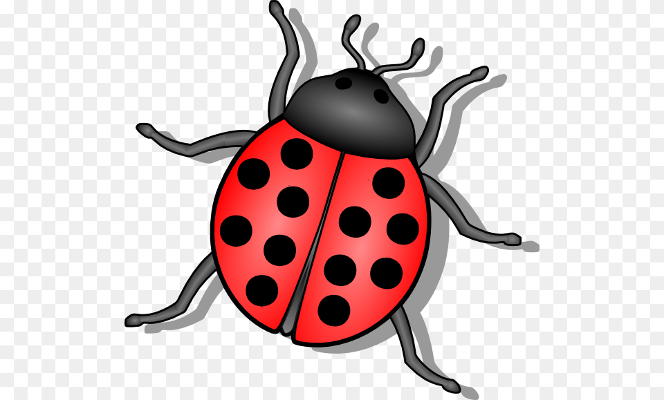 Lady Bug Svg Clip Arts Insect Clipart, Animal Png