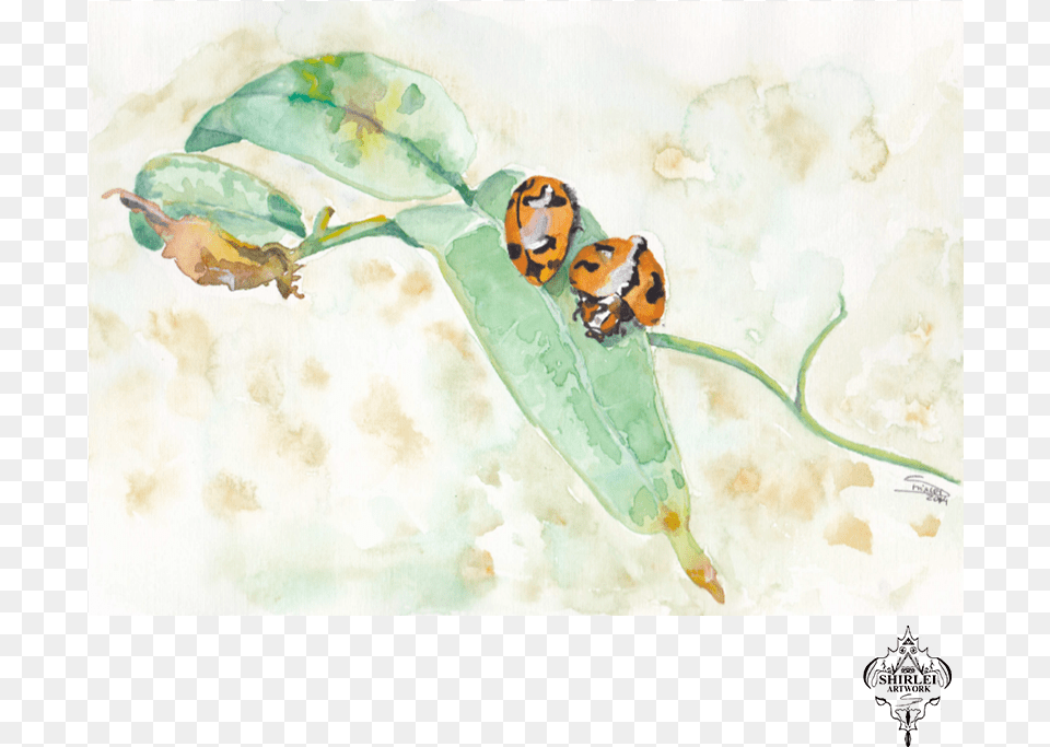 Lady Bug Watercolor Illustration Hornet, Leaf, Plant, Art, Painting Png