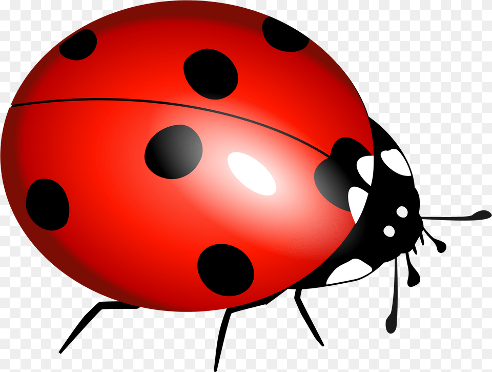 Lady Bugs Ladybird, Pattern Free Png Download