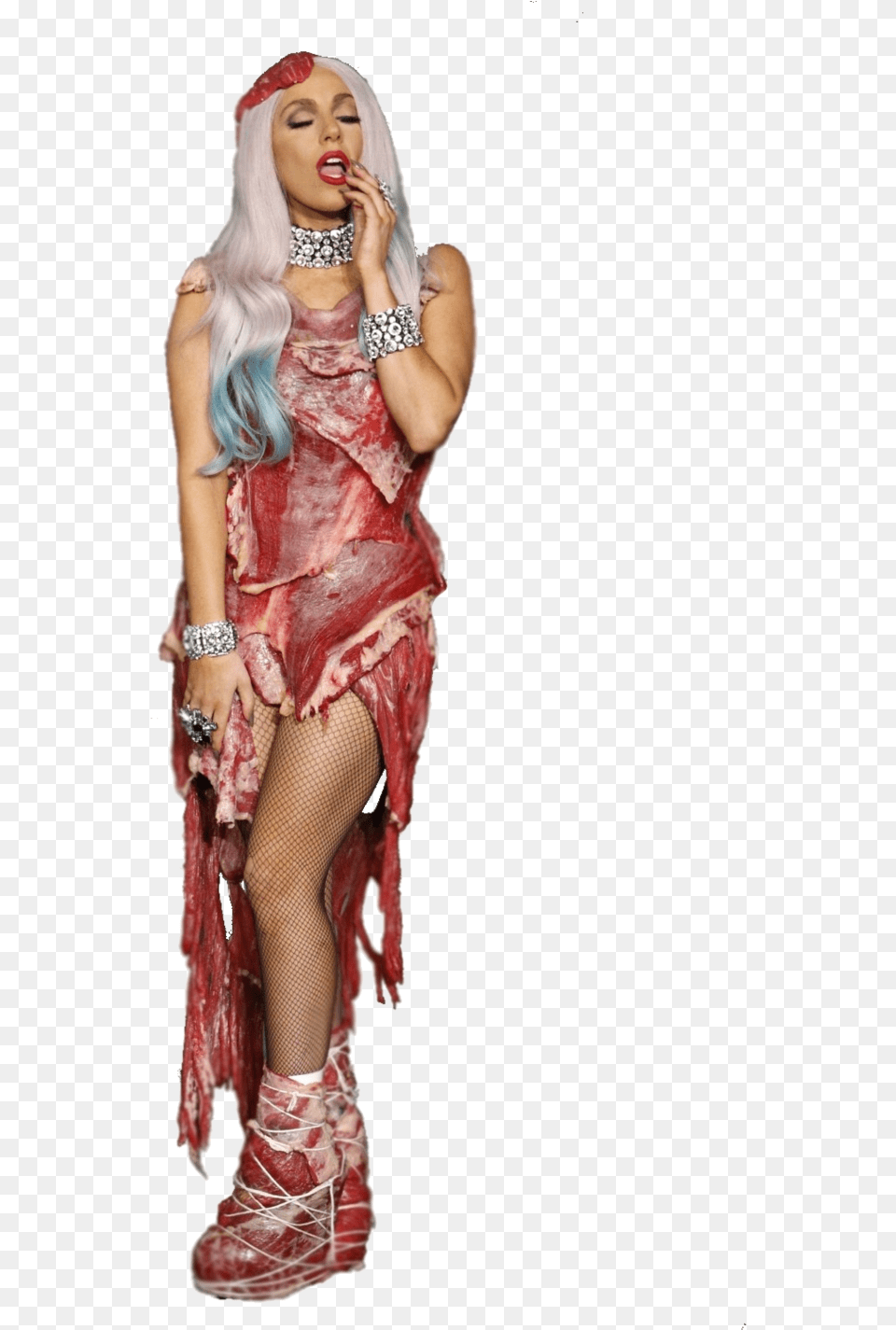 Lady Gaga Meat Dress By Heavyfallentears D4714bq Lady Gaga Meat Dress, Person, Clothing, Costume, Woman Png Image