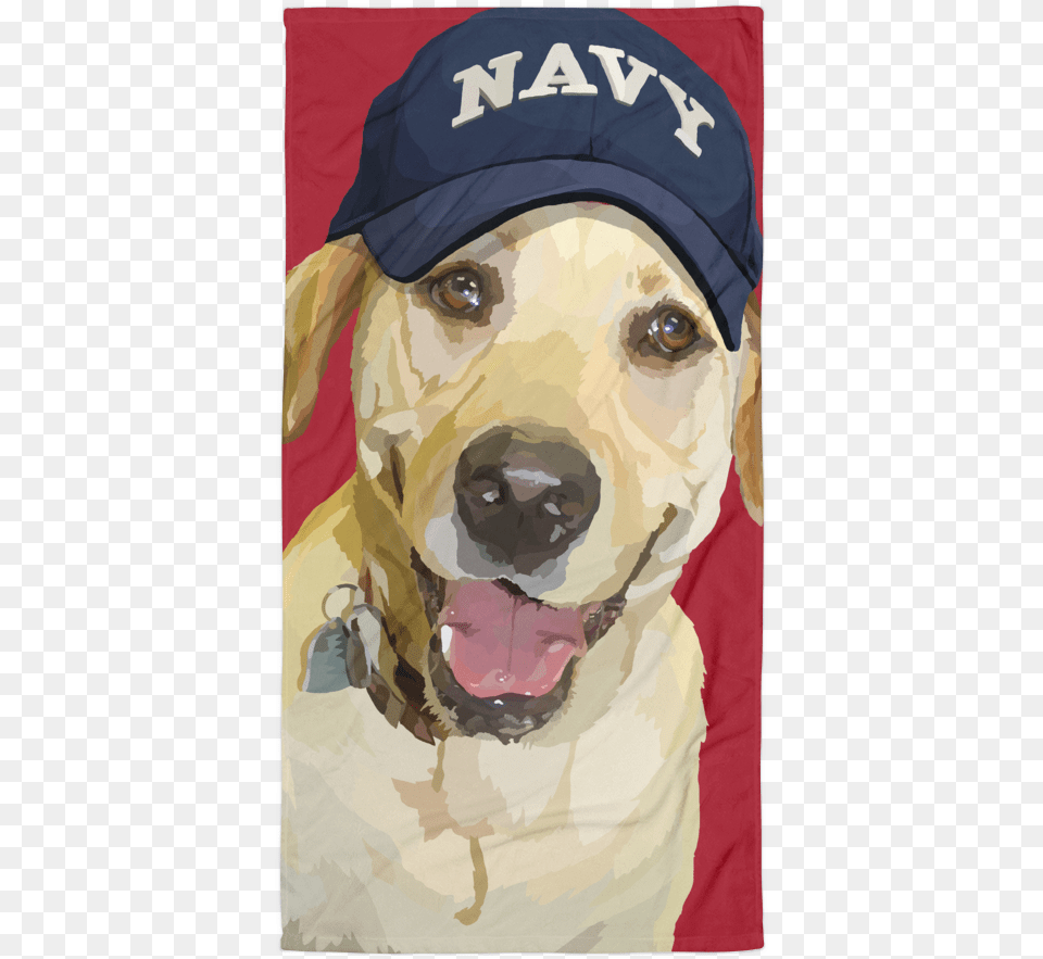 Lady Liberty The Yellow Lab With Army Hat Labrador Army, Baseball Cap, Cap, Clothing, Person Free Png