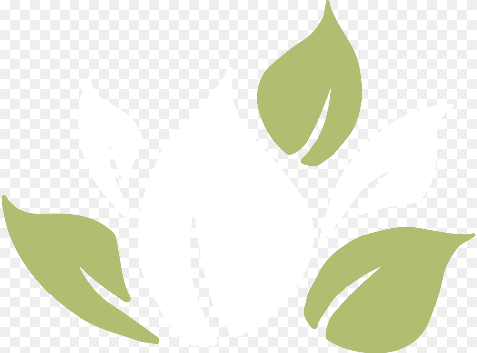 Lady Tulip, Leaf, Plant, Flower, Animal Free Png Download