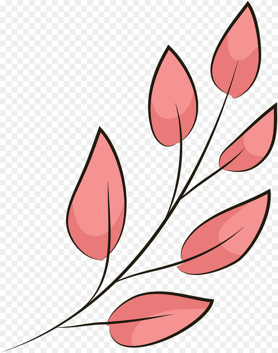 Lady Tulip, Graphics, Art, Floral Design, Flower Free Png Download