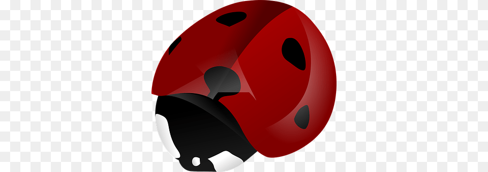 Ladybeetle Crash Helmet, Helmet Free Png Download