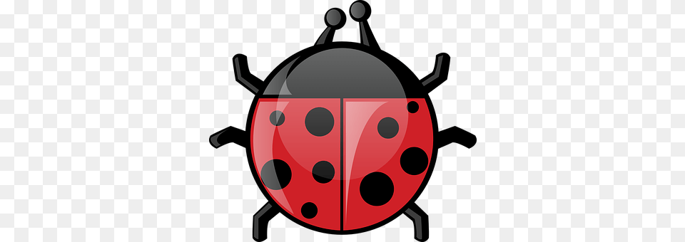 Ladybird Png Image