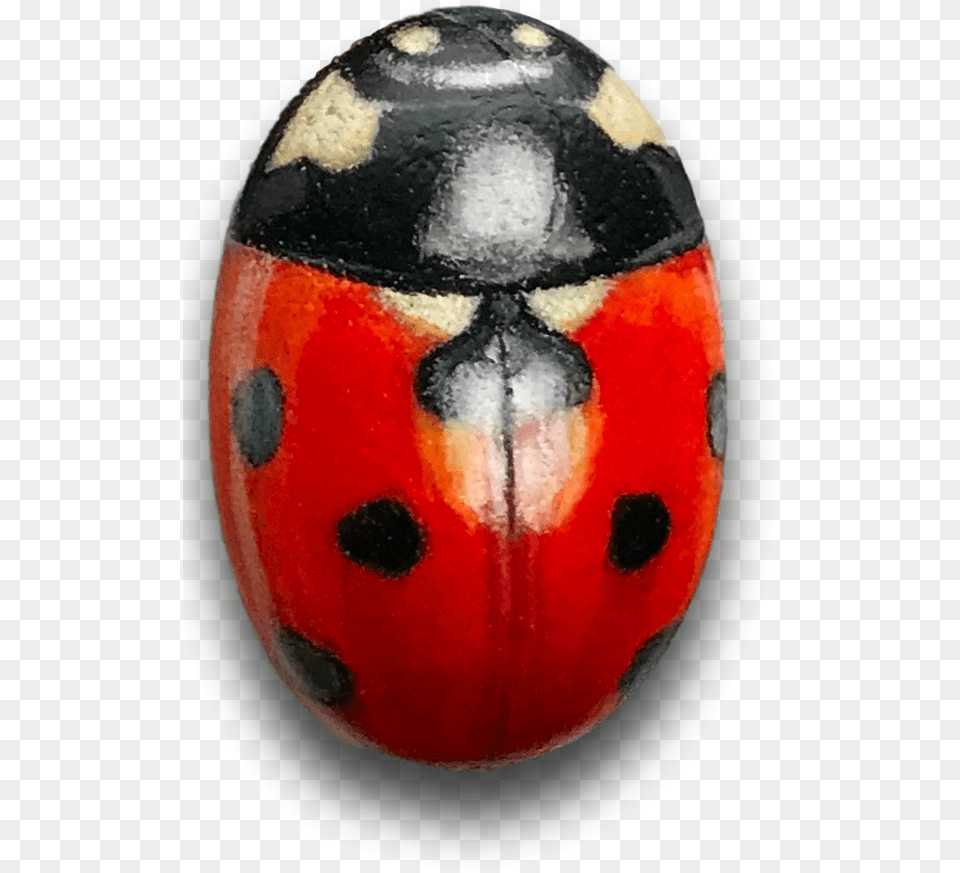 Ladybird Beetle, Ball, Baseball, Baseball (ball), Sport Free Transparent Png