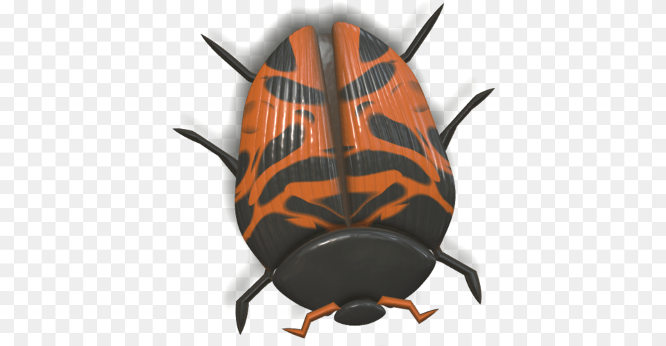 Ladybird Beetle, Animal, Dung Beetle, Insect, Invertebrate Free Png