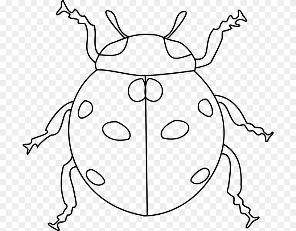 Ladybird Beetle Black And Ladybird Images Black And White, Gray Png Image