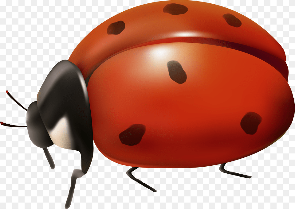 Ladybird Beetle Clip Art Background Ladybug Clip Art Free Transparent Png