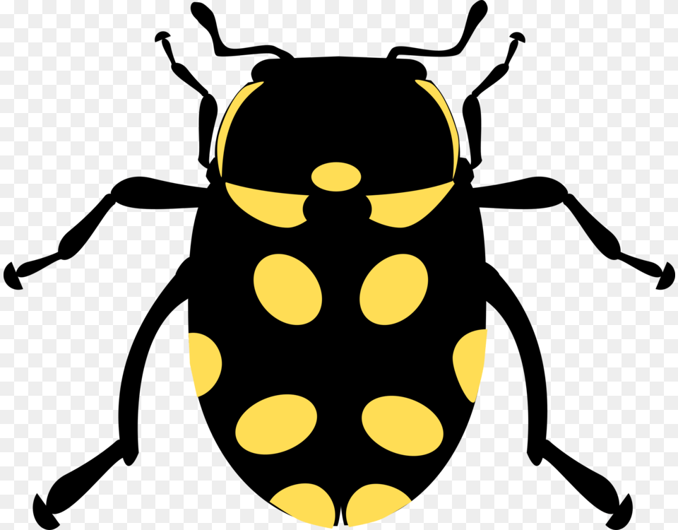 Ladybird Beetle Computer Icons Drawing Line Art, Animal, Wasp, Invertebrate, Insect Free Transparent Png