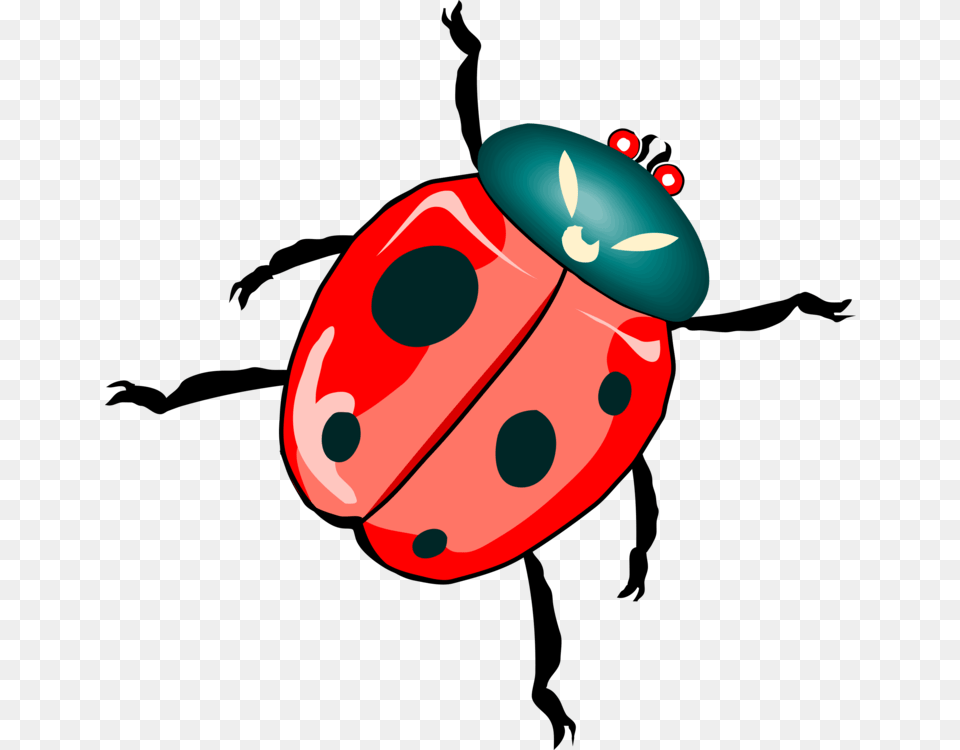 Ladybird Beetle True Bugs Drawing, Animal, Candle Free Png Download