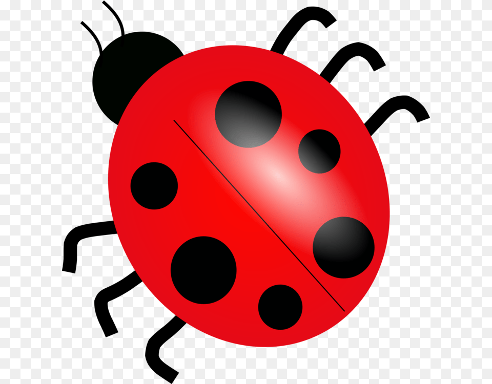 Ladybird Beetle Drawing Cartoon Ladybird Ladybird, Sphere Free Png Download