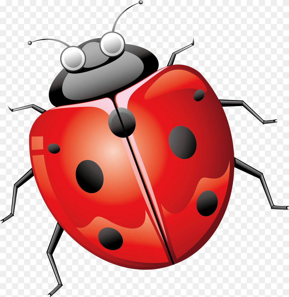 Ladybird Beetle Euclidean Vector Seven Star Ladybug Beetles, Animal, Smoke Pipe Free Png Download