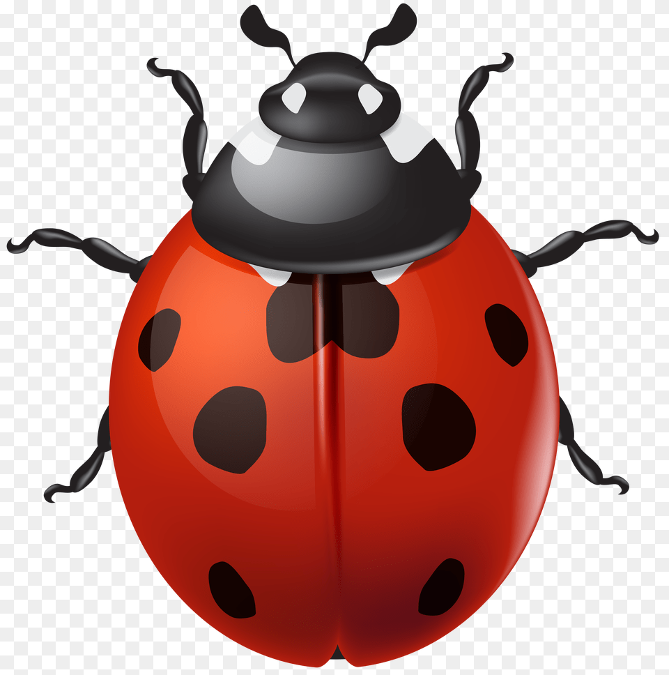 Ladybird Clip, Ammunition, Grenade, Weapon, Animal Free Png Download