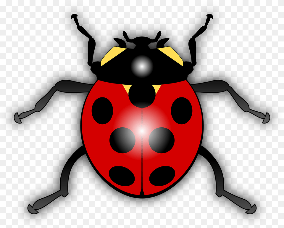 Ladybird Clipart, Baby, Person, Plush, Toy Free Transparent Png
