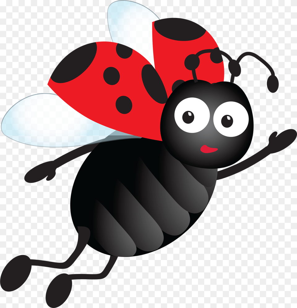 Ladybird Flying Lady Bird Clipart, Animal, Bee, Honey Bee, Insect Png