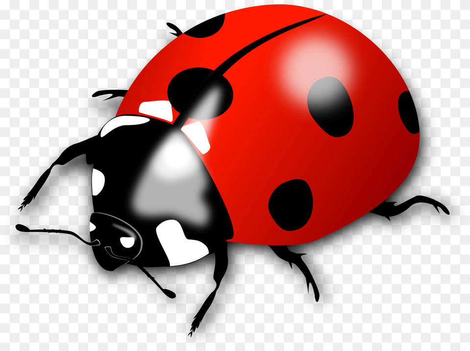 Ladybird Pic Mart Pngio Ladybird Clipart Png