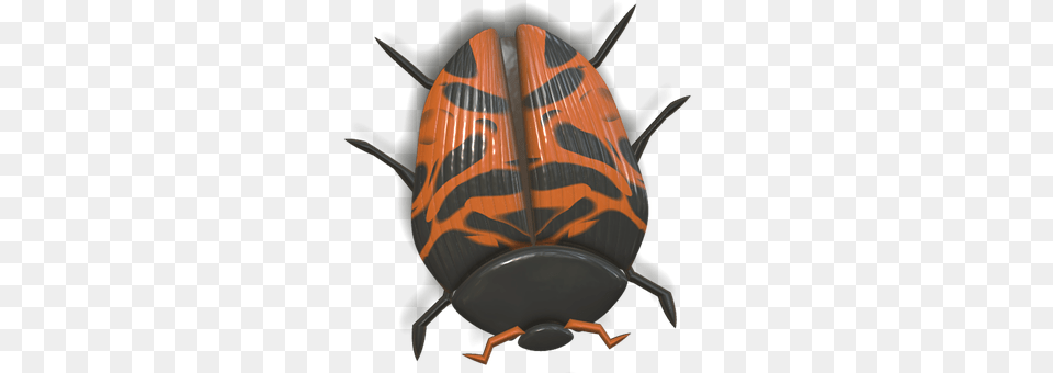 Ladybug Animal, Dung Beetle, Insect, Invertebrate Png Image