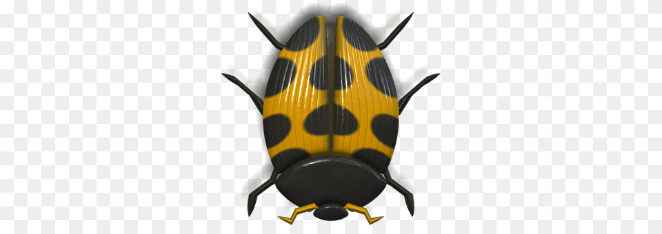 Ladybug Animal, Aircraft, Airplane, Transportation Free Png