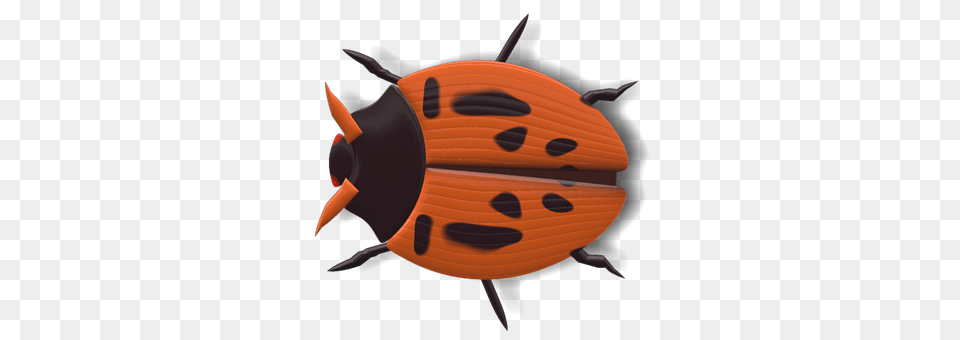 Ladybug Animal Png Image