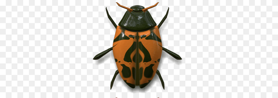 Ladybug Animal, Smoke Pipe Free Transparent Png